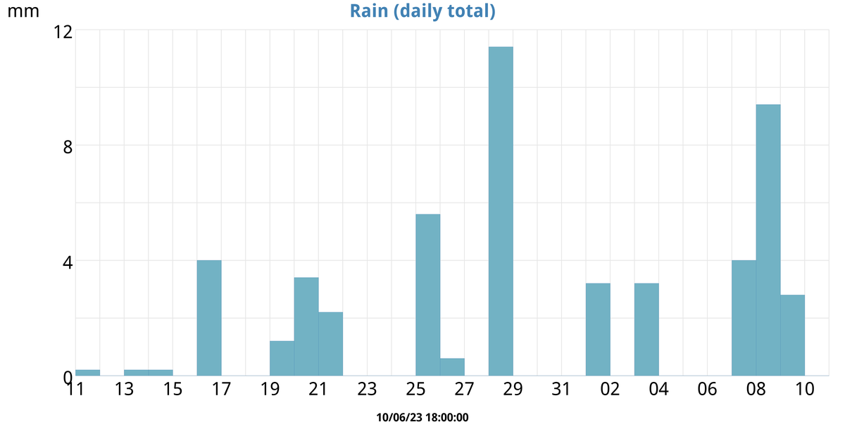 Rain